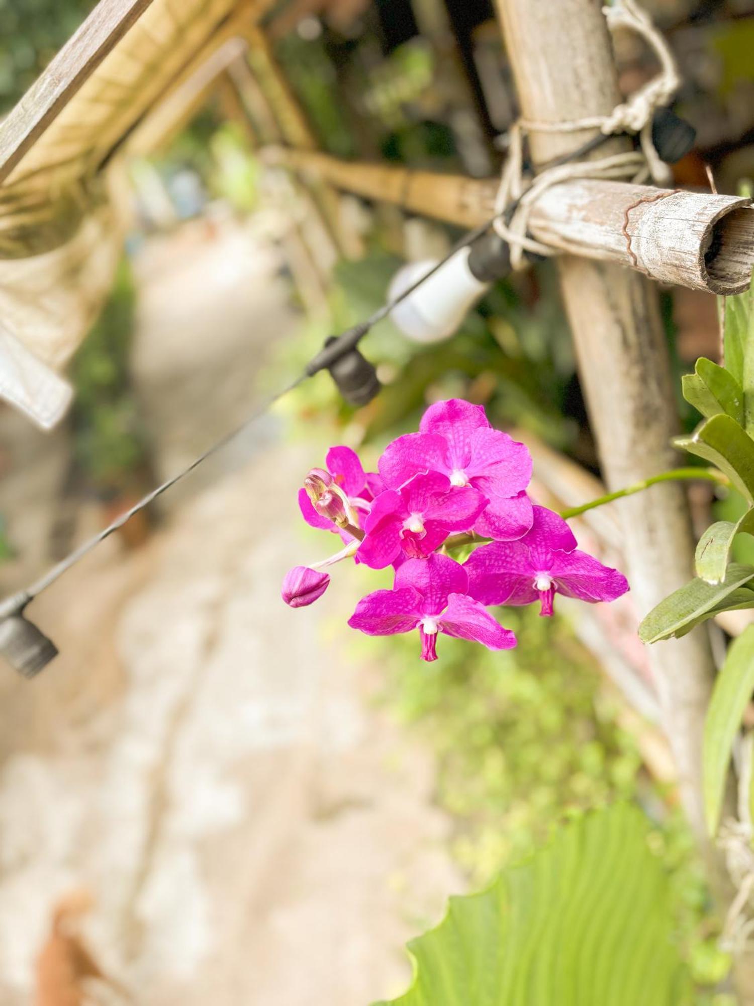 Bed and Breakfast Les Fleurs House Khao Lak Esterno foto