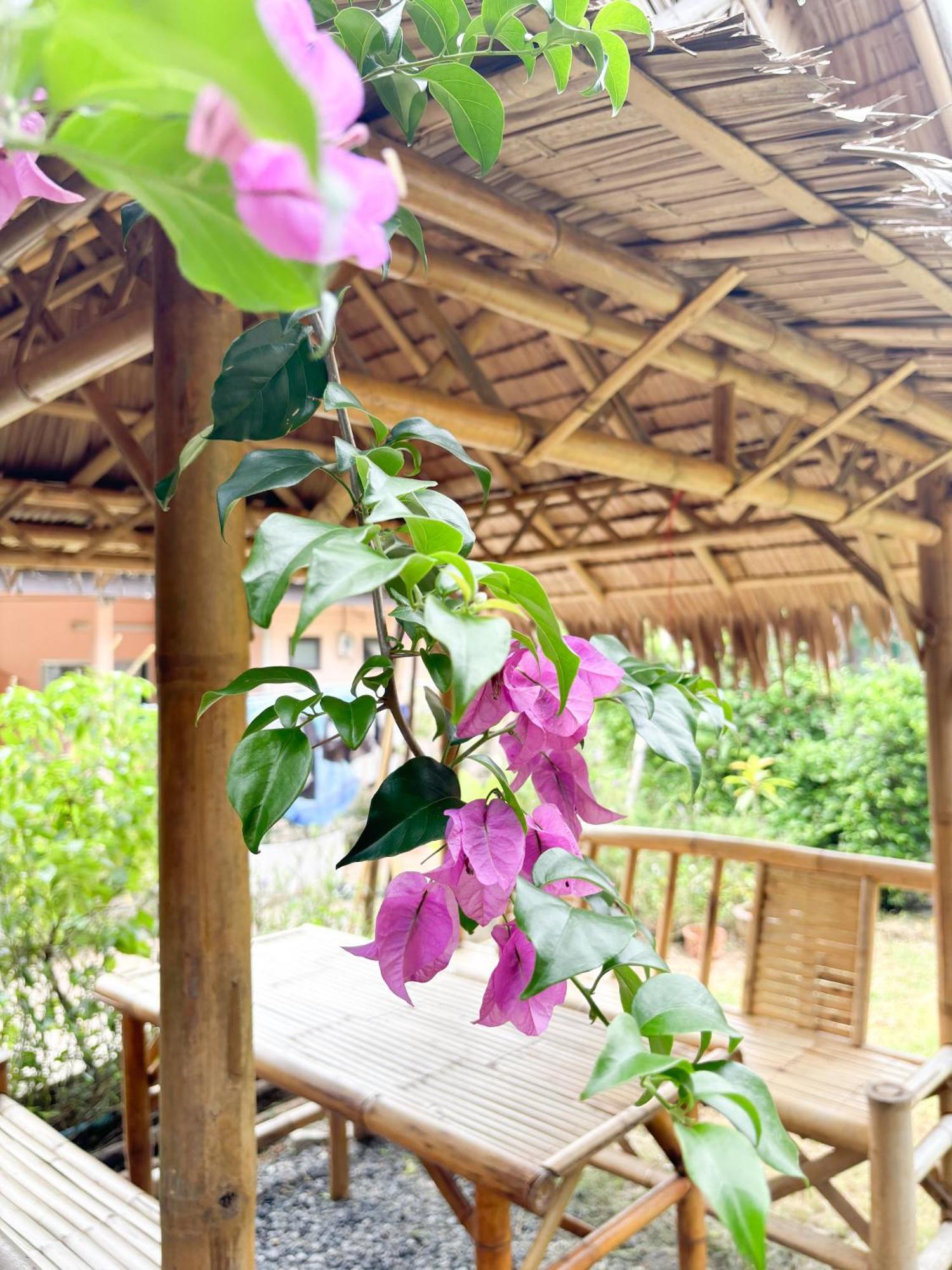 Bed and Breakfast Les Fleurs House Khao Lak Esterno foto